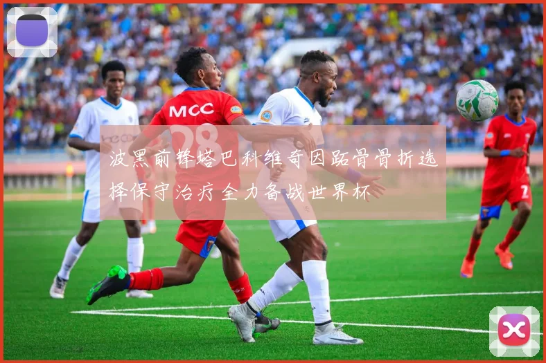 波黑前锋塔巴科维奇因跖骨骨折选择保守治疗全力备战世界杯
