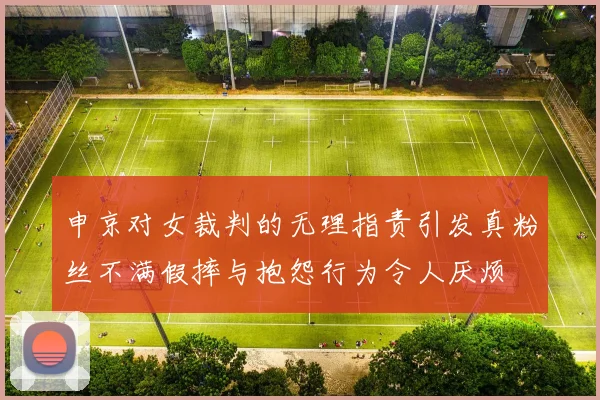 申京对女裁判的无理指责引发真粉丝不满假摔与抱怨行为令人厌烦