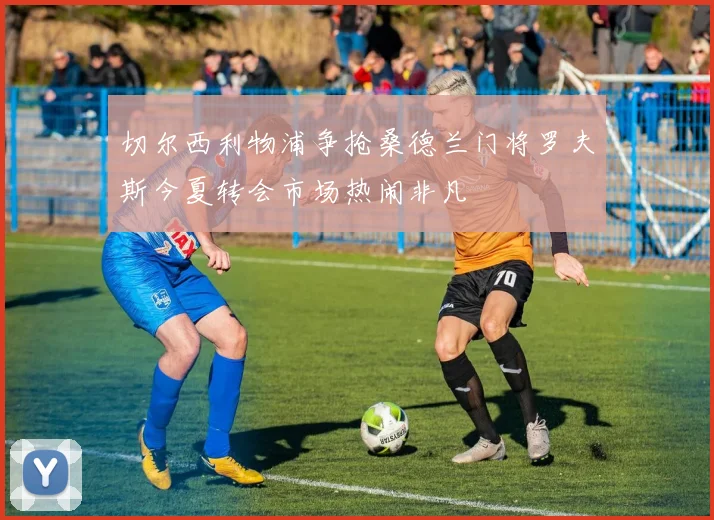 切尔西利物浦争抢桑德兰门将罗夫斯今夏转会市场热闹非凡