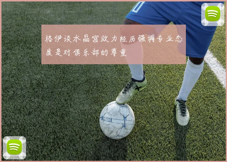 格伊谈水晶宫效力经历强调专业态度是对俱乐部的尊重