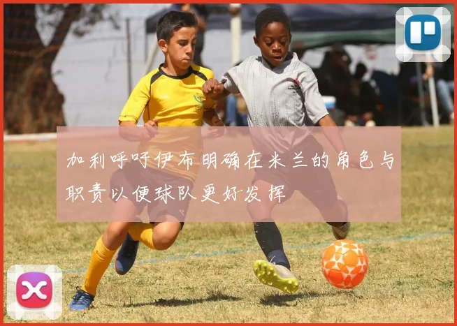加利呼吁伊布明确在米兰的角色与职责以便球队更好发挥